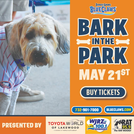 Bark in the Park at Lakewood BlueClaws stadium